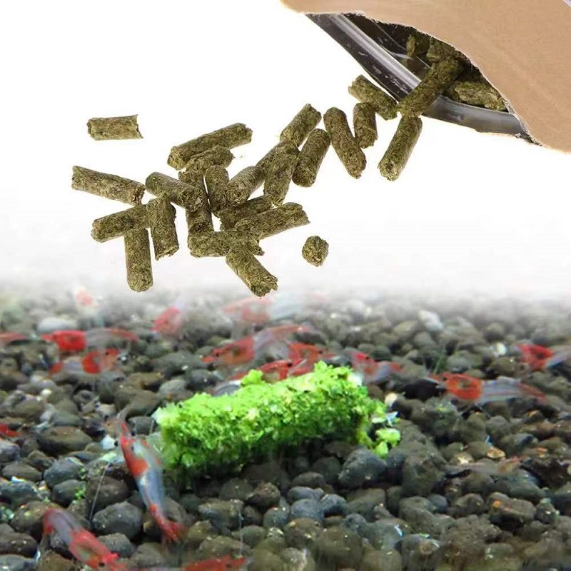 Spinach Shrimp Feed Ornamental - Aquarium Fish Eggs ulasan dan harga