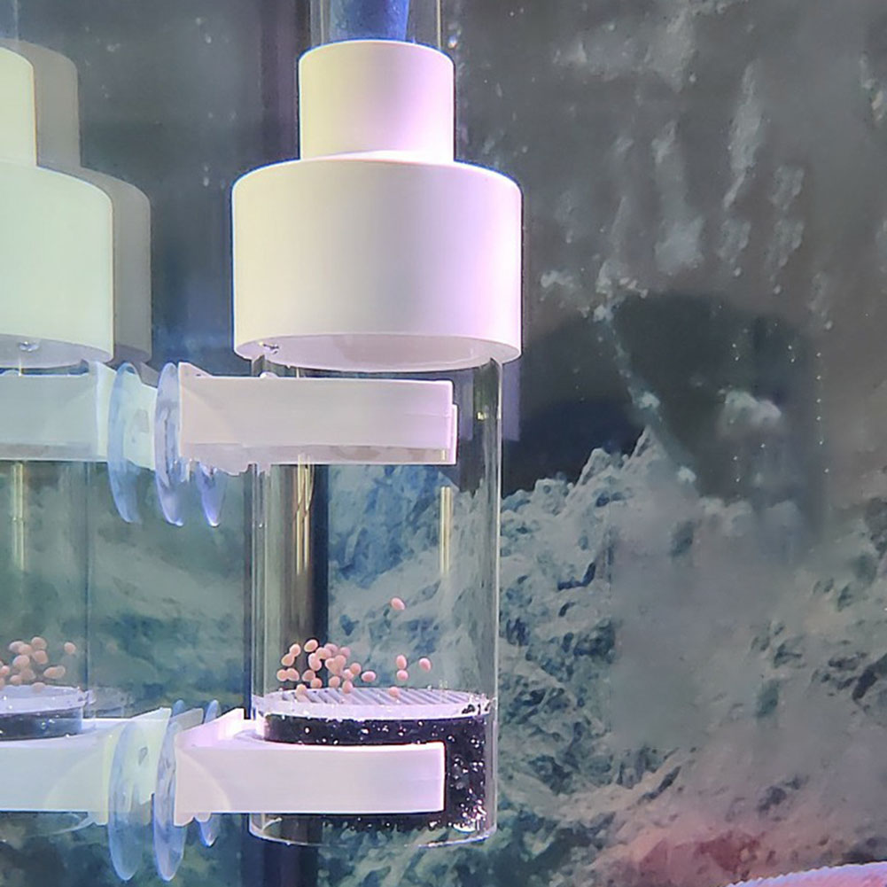40mm Tumbler Incubator Fish Ha - Aquarium Fish Eggs ulasan dan harga