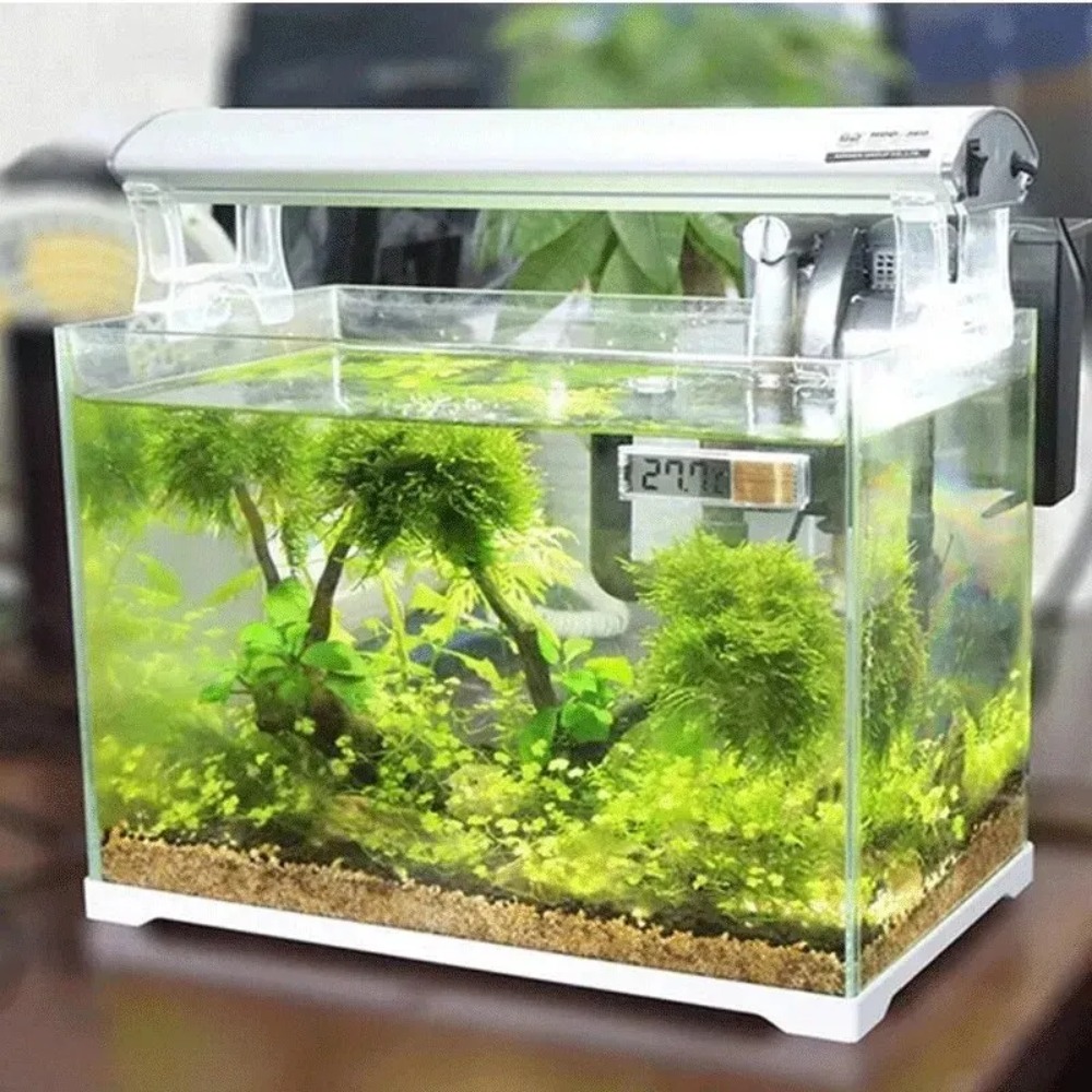1PC Aquarium Thermometer Elect - Aquarium Thermometer ulasan dan harga
