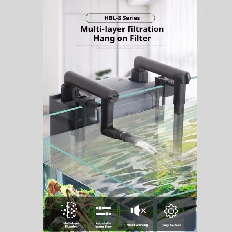Hot Sale Professional Aquarium - Aquarium Fish For Sale ulasan dan harga
