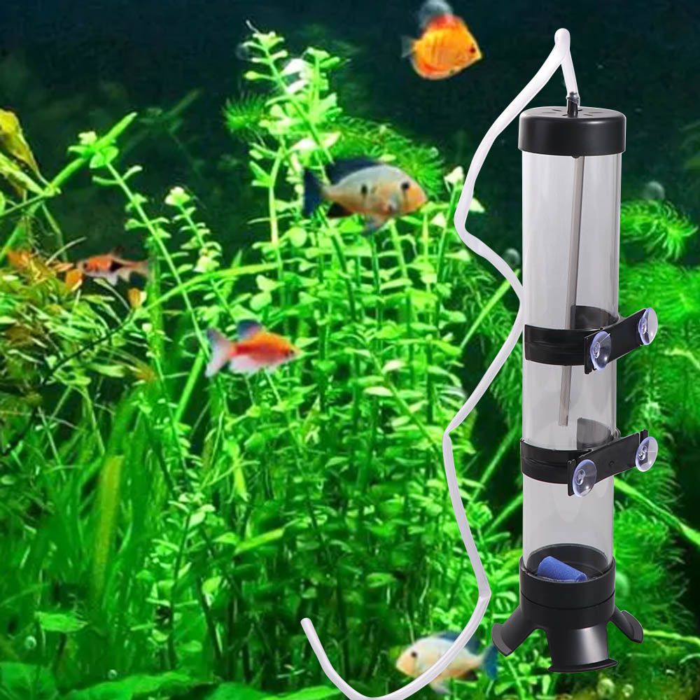 Plastic Artemia Eggs Incubator - Aquarium Fish Eggs ulasan dan harga
