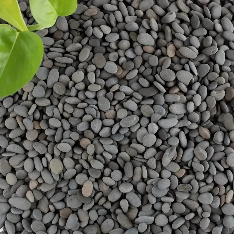 20Pcs Natural River Rocks Smoo - Aquarium Fish Fishing ulasan dan harga