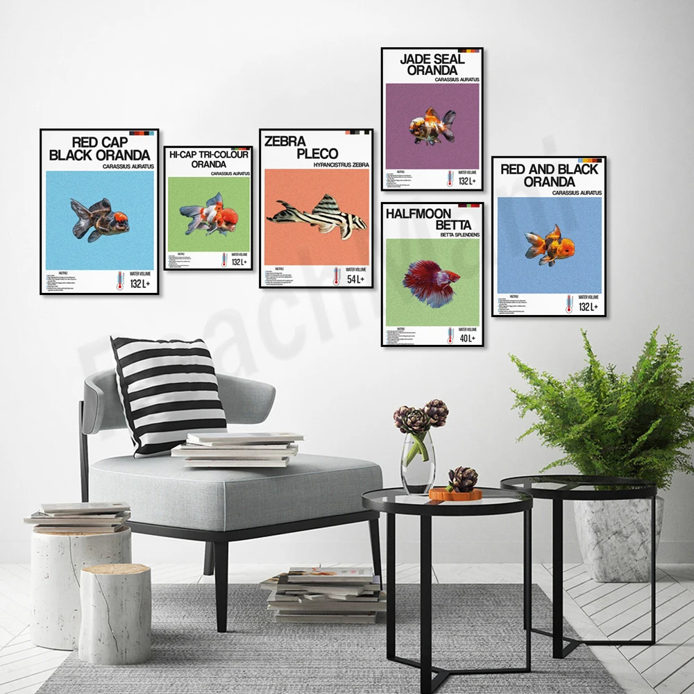 Fish information print, orname - Aquarium Fish Zebra ulasan dan harga