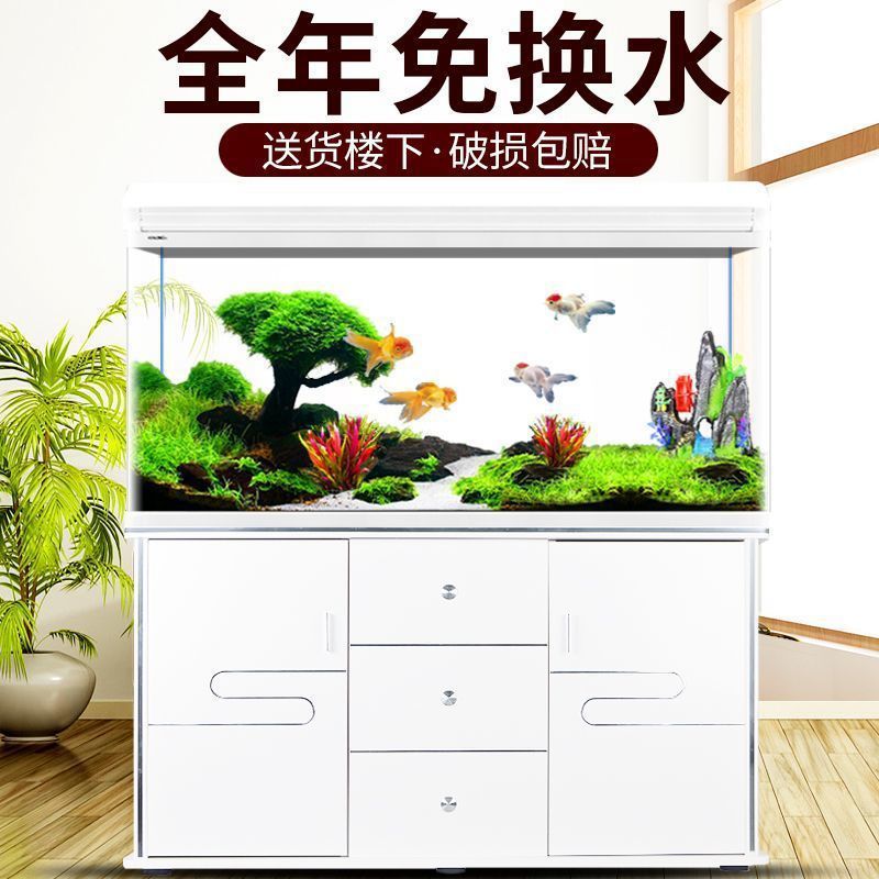 Xilong fish tank aquarium smal - Aquarium Xilong ulasan dan harga