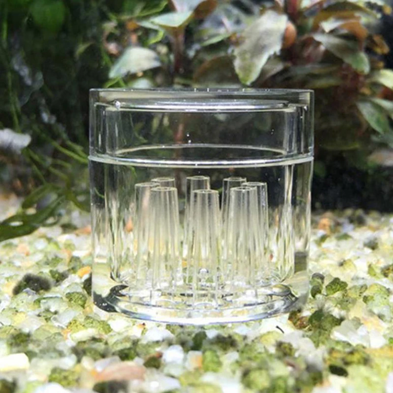High Transparent  Aquarium Fis - Aquarium Fish Eggs ulasan dan harga