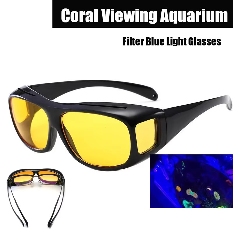 Coral Viewing Aquarium Filter  - Aquarium Fish Photography ulasan dan harga