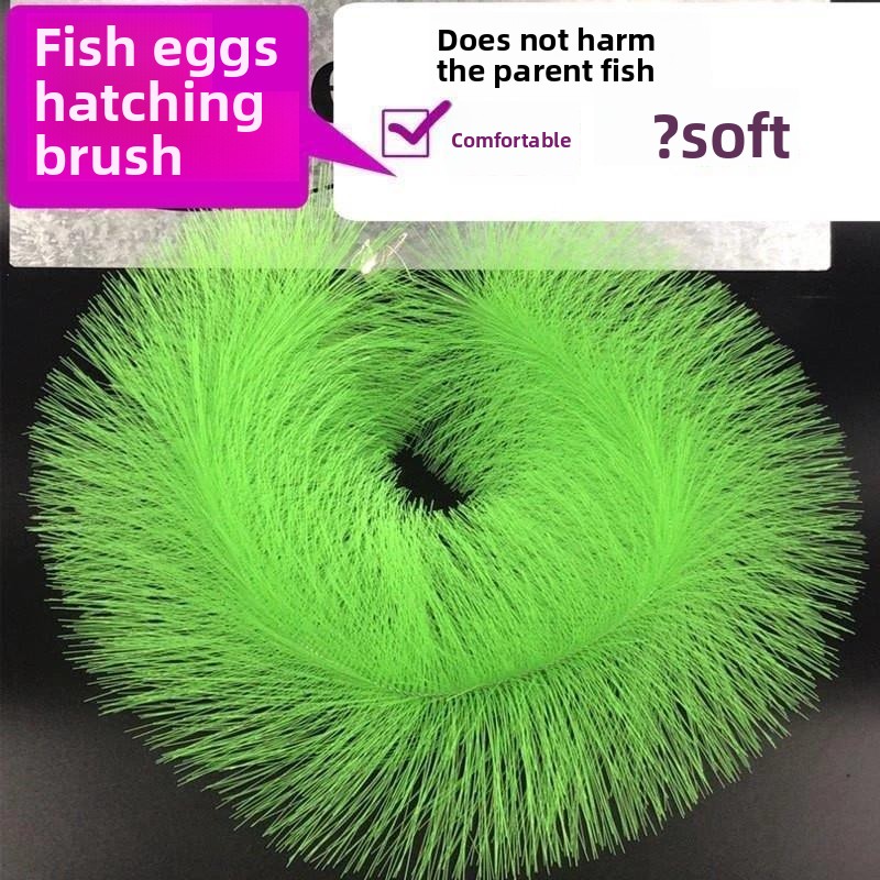 Breeding Grass for Koi Fish Eg - Aquarium Fish Eggs ulasan dan harga