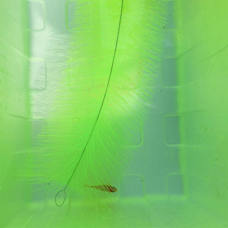 Breeding Grass for Koi Fish Eg - Aquarium Fish Eggs ulasan dan harga
