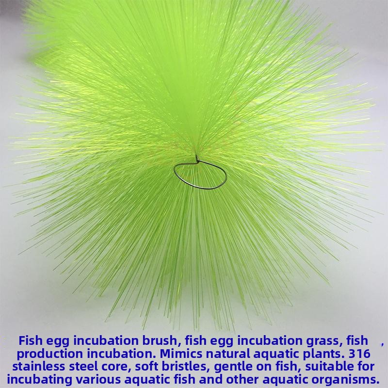 Breeding Grass for Koi Fish Eg - Aquarium Fish Eggs ulasan dan harga
