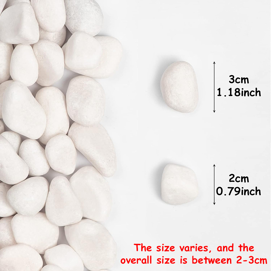 200/400g White High Polished N - Aquarium Fish Fishing ulasan dan harga