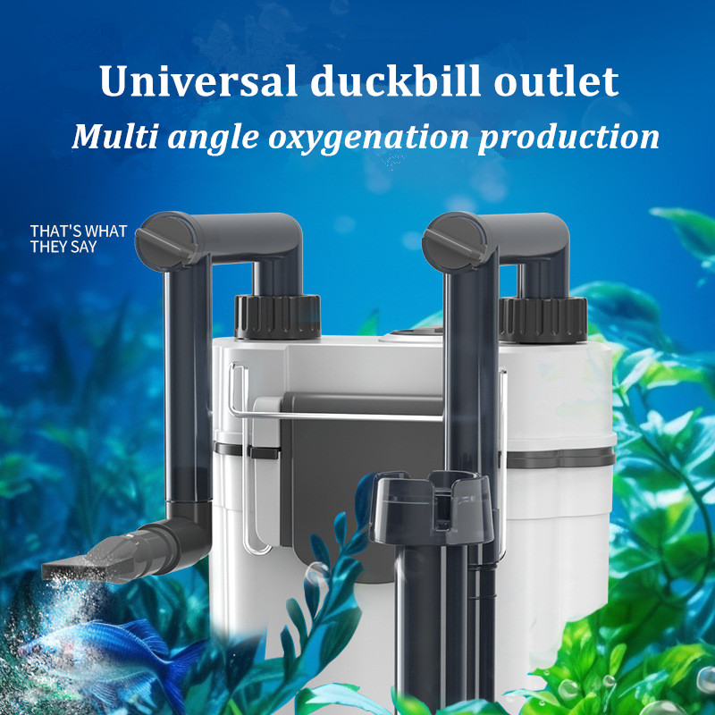 Hot Sale Hang on Back Aquarium - Aquarium Fish For Sale ulasan dan harga