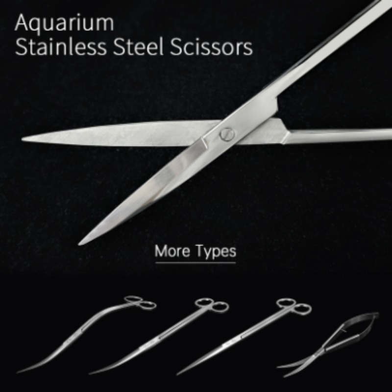 Week Aqua Stainless Steel Aqua - Aquarium Fish Photography ulasan dan harga