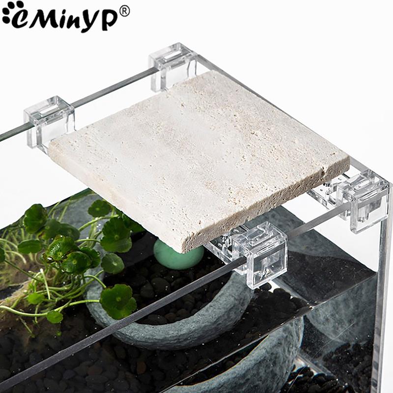 4Pcs Fish Tank Acrylic Clips f - Aquarium Fish Photography ulasan dan harga