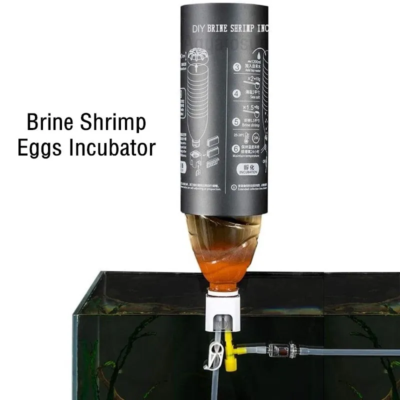 Aquarium Brine Shrimp Eggs Inc - Aquarium Fish Eggs ulasan dan harga