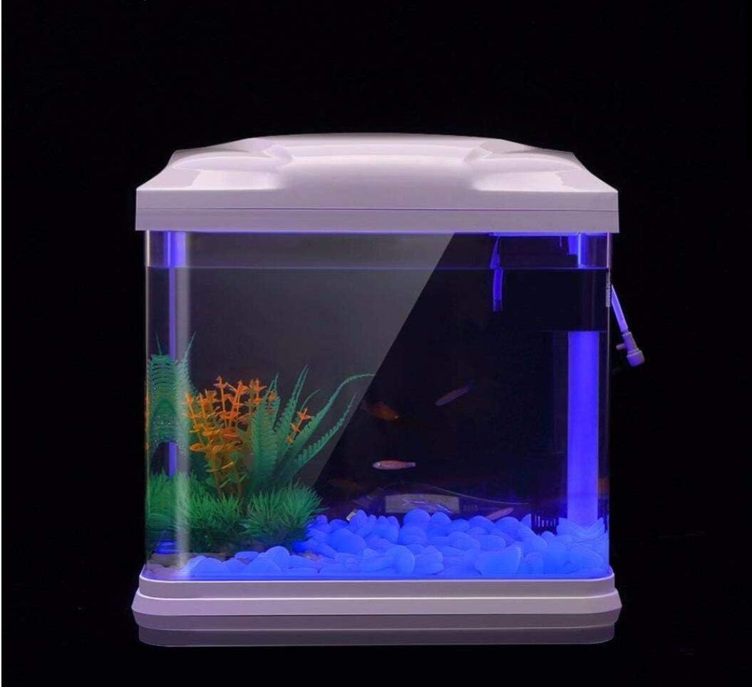 Fish Tank Rocks Glow Blue Pebb - Aquarium Fish Photography ulasan dan harga