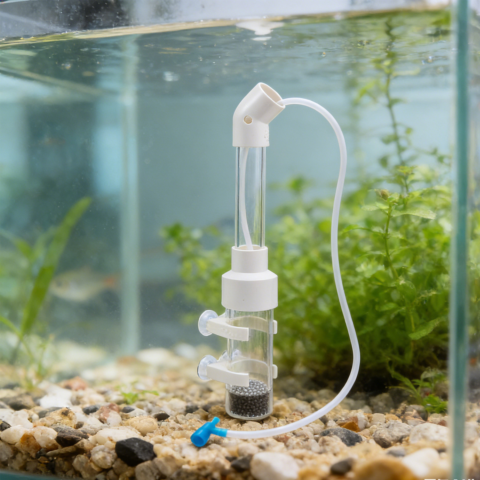 2Sets Fish Egg Incubator Kit A - Aquarium Fish Eggs ulasan dan harga