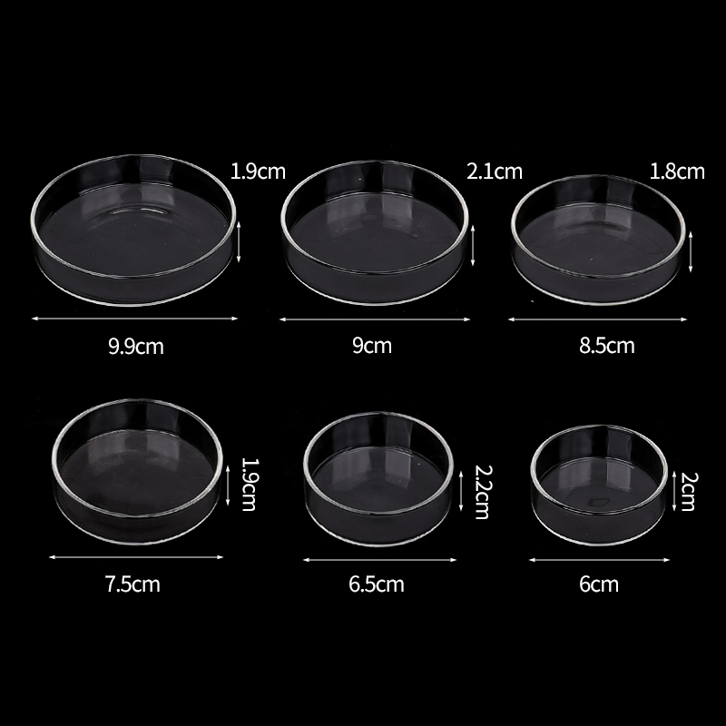 Shrimp Feeding Dish High Trans - Aquarium Fish Eggs ulasan dan harga