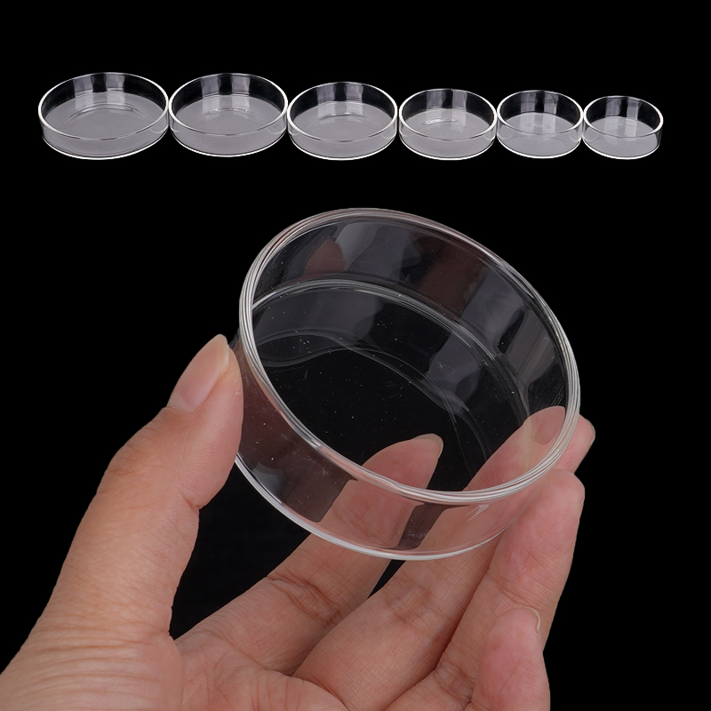 Shrimp Feeding Dish High Trans - Aquarium Fish Eggs ulasan dan harga