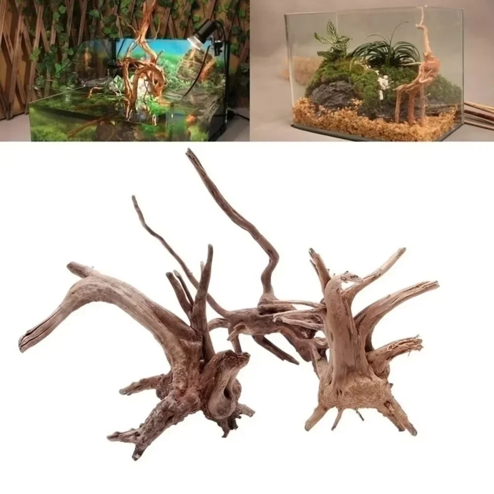 （15-20cm） Natural Driftwood Aq - Aquarium Fish Fishing ulasan dan harga