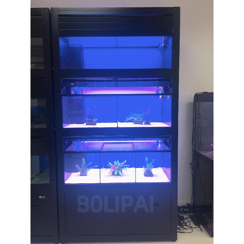 Customised Fish Aquarium Rack  - Aquarium Fish Glass ulasan dan harga