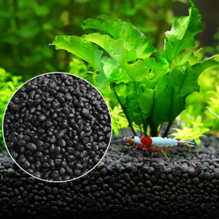 Aquarium Plant Seeds Soil Fish - Aquarium Fish Photography ulasan dan harga