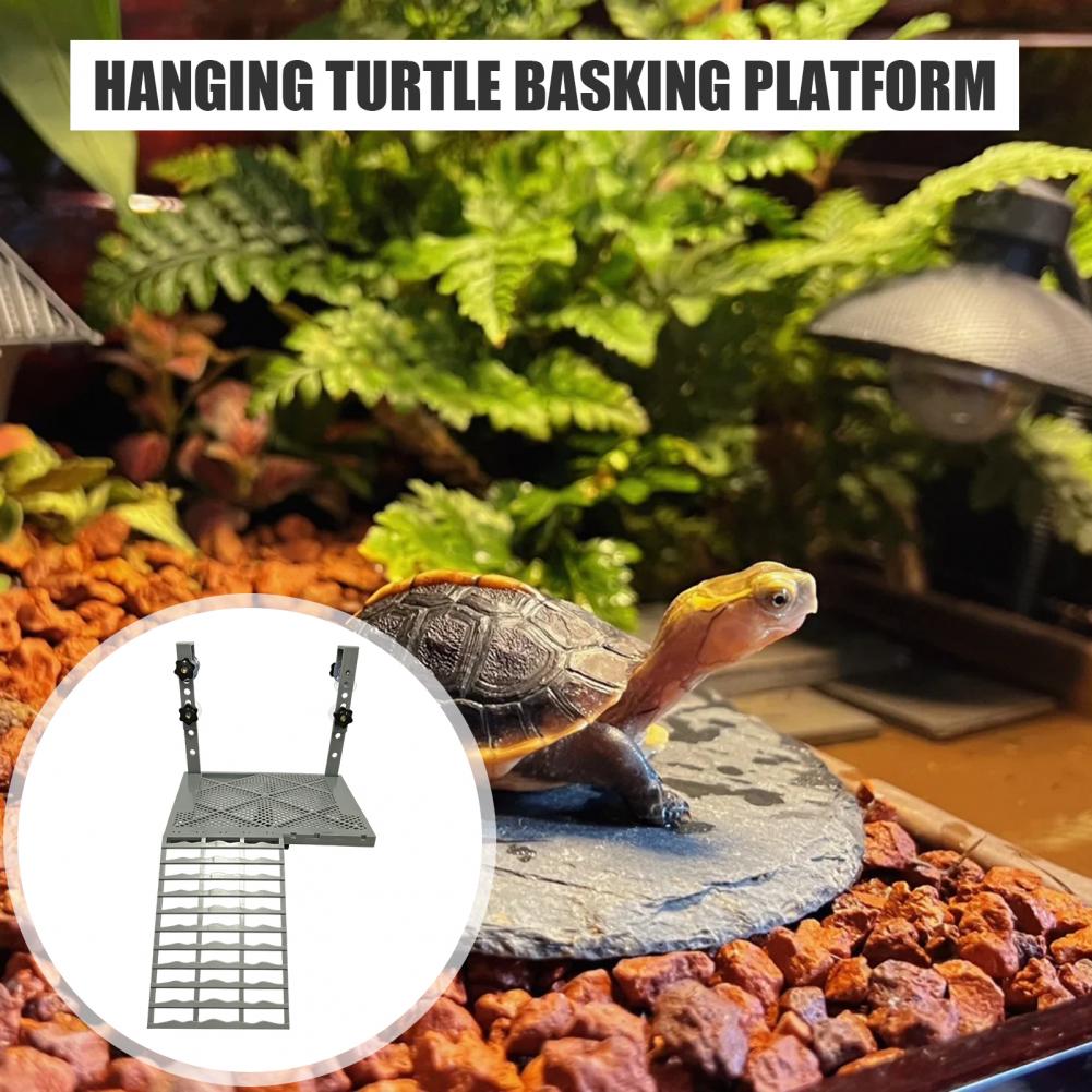 Aquarium Decoration Solid Form - Aquarium Fish Fishing ulasan dan harga