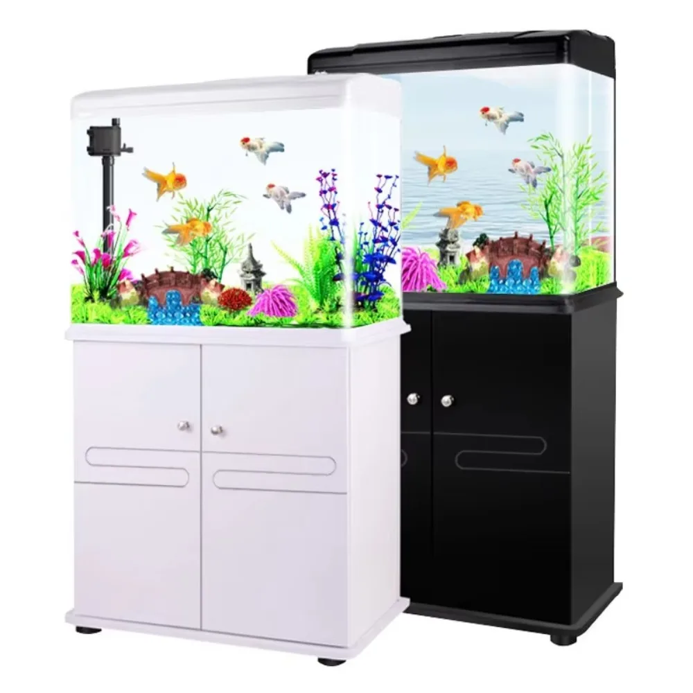 Aquarium Xilong Medium and Sma - Aquarium Xilong ulasan dan harga