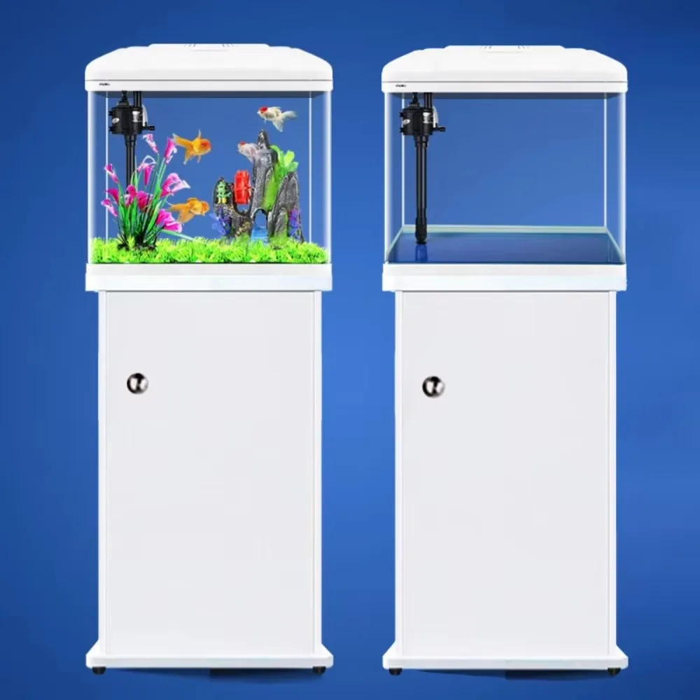 Aquarium Xilong Medium and Sma - Aquarium Xilong ulasan dan harga