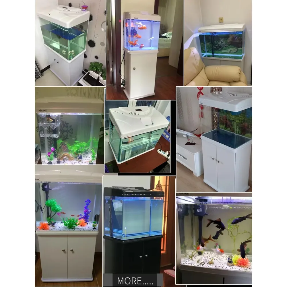 Aquarium Xilong Medium and Sma - Aquarium Xilong ulasan dan harga
