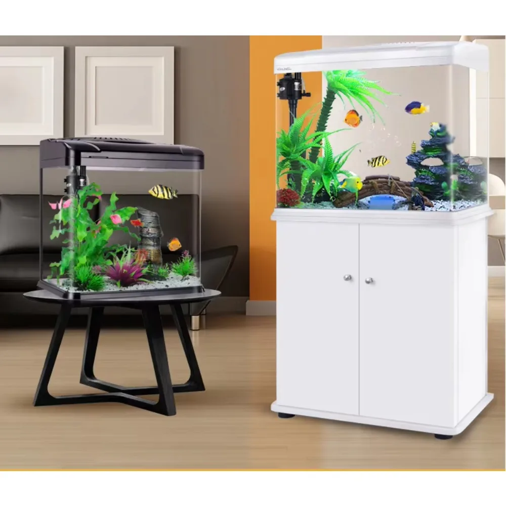 Aquarium Xilong Medium and Sma - Aquarium Xilong ulasan dan harga