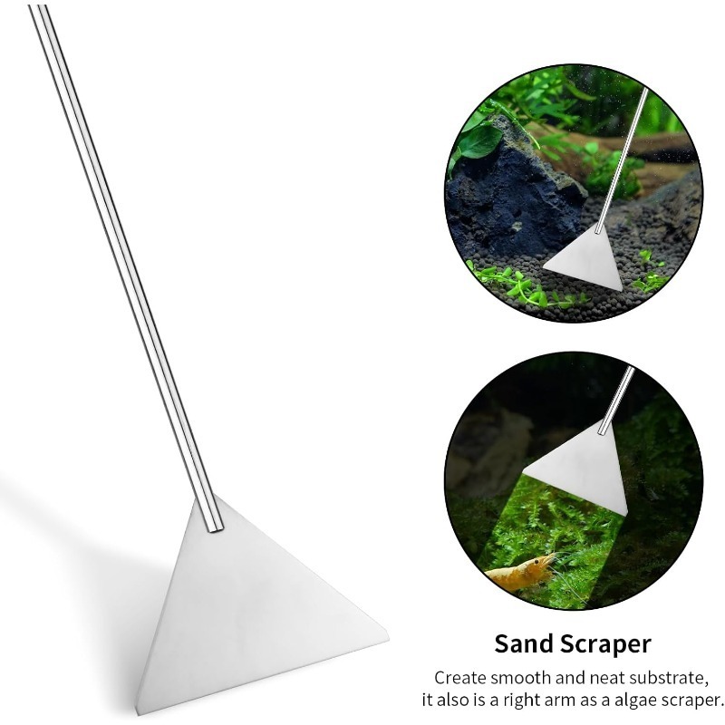 Aquarium Kit Terrarium Supplie - Aquarium Fish Photography ulasan dan harga