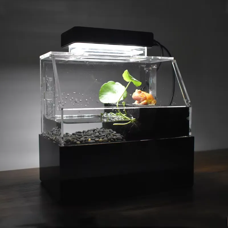 Relaxlines Custom Desktop Aqua - Aquarium Fish For Sale ulasan dan harga