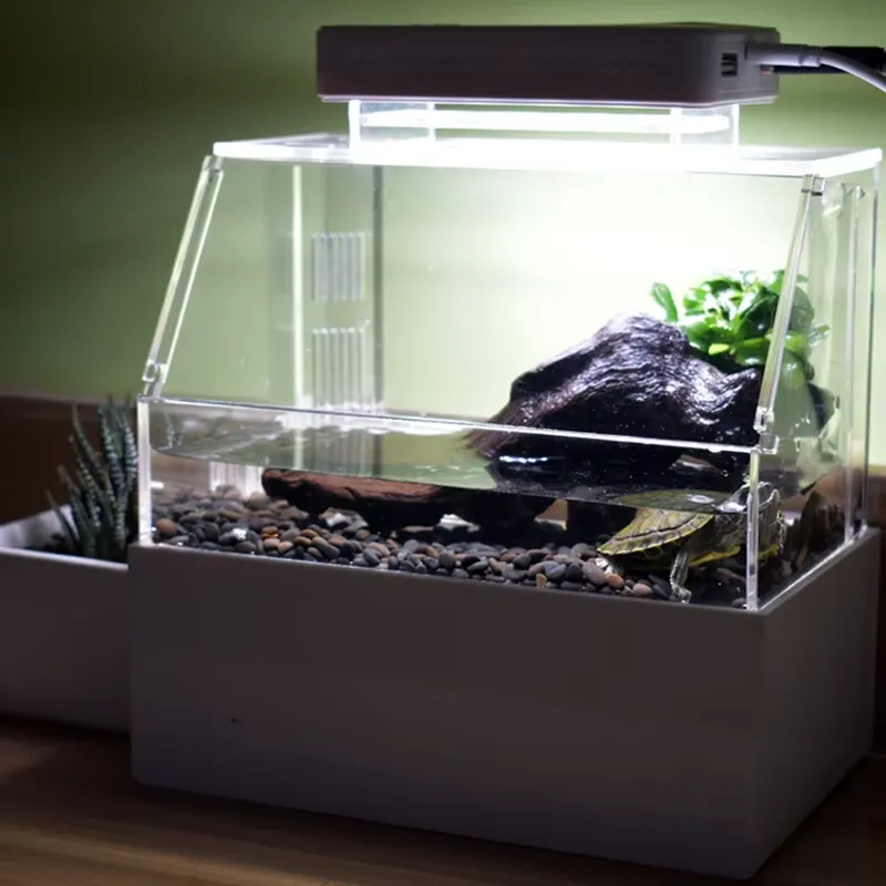 Relaxlines Custom Desktop Aqua - Aquarium Fish For Sale ulasan dan harga