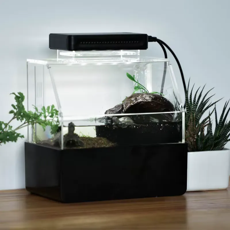 Relaxlines Custom Desktop Aqua - Aquarium Fish For Sale ulasan dan harga