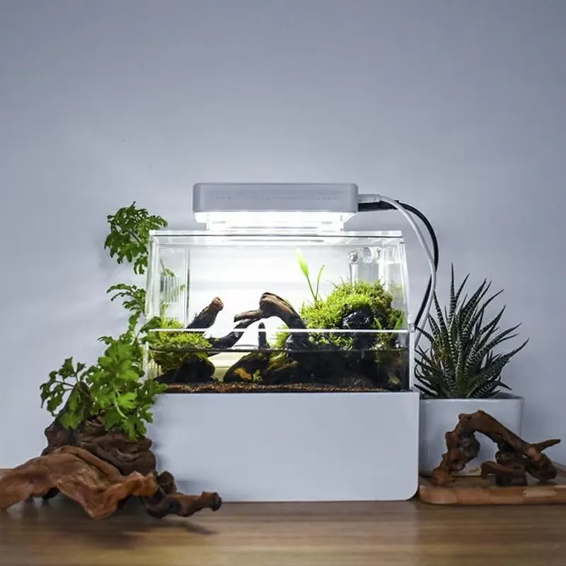 Relaxlines Custom Desktop Aqua - Aquarium Fish For Sale ulasan dan harga