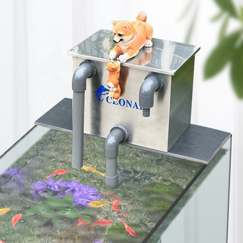 Factory Direct Sales Aquarium  - Aquarium Fish For Sale ulasan dan harga