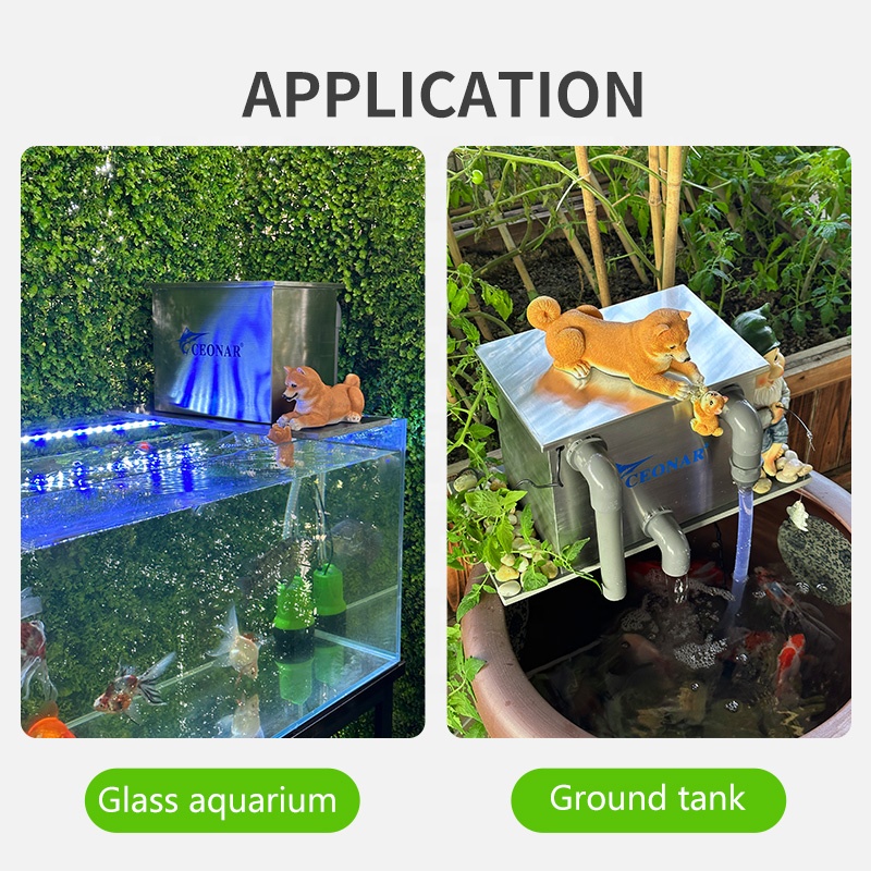 Factory Direct Sales Aquarium  - Aquarium Fish For Sale ulasan dan harga